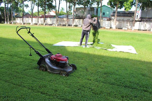 Đại Chủng Viện Huế: Công Tác Chuẩn Bị Cho Năm Học Mới 2023-2024