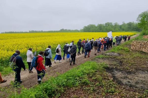 Các Giám Mục Giáo Tỉnh Reims Đi Bộ Cầu Nguyện Cho Các Ơn Gọi