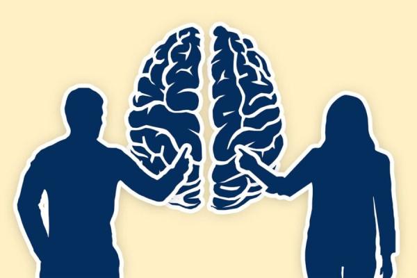 Hội Đồng Nhân Quyền : « Xu Hướng Tính Dục » Và « Căn Tính Giới Tính »