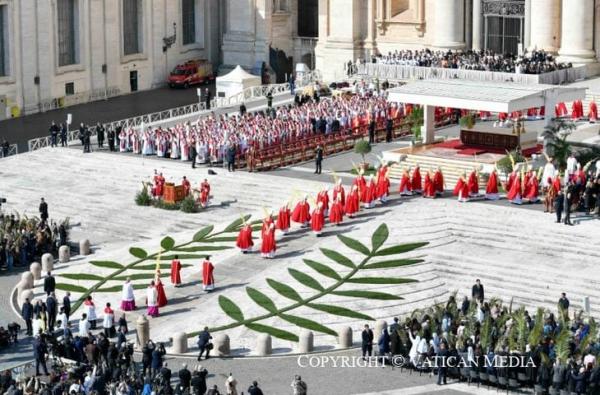 Bài Giảng Chúa Nhật Lễ Lá 2026: “Đây Là Thiên Chúa Của Chúng Ta: Đức Giêsu, Vua Hoà Bình, Đấng Loại Trừ Chiến Tranh”